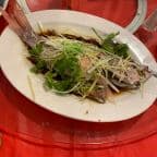 Best Fish Fillet with Ginger & Scallion in Orlando, FL